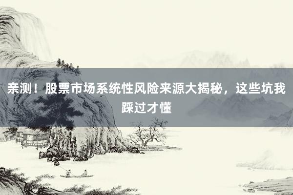 亲测！股票市场系统性风险来源大揭秘，这些坑我踩过才懂