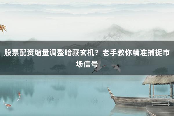 股票配资缩量调整暗藏玄机？老手教你精准捕捉市场信号