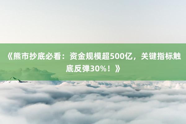《熊市抄底必看：资金规模超500亿，关键指标触底反弹30%！》