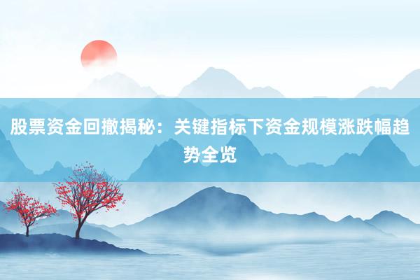 股票资金回撤揭秘：关键指标下资金规模涨跌幅趋势全览