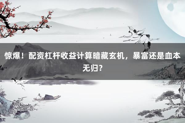 惊爆！配资杠杆收益计算暗藏玄机，暴富还是血本无归？