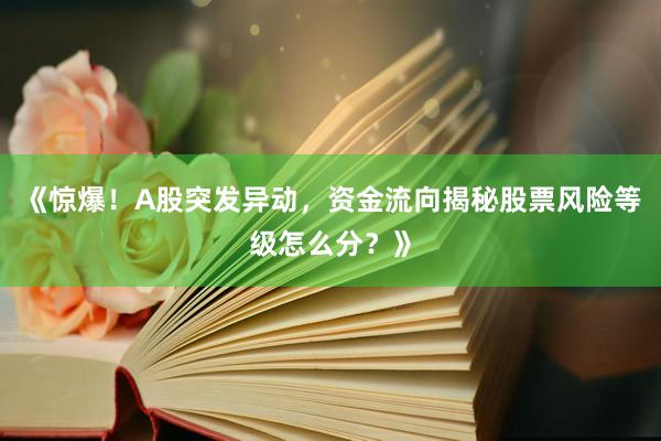 《惊爆！A股突发异动，资金流向揭秘股票风险等级怎么分？》