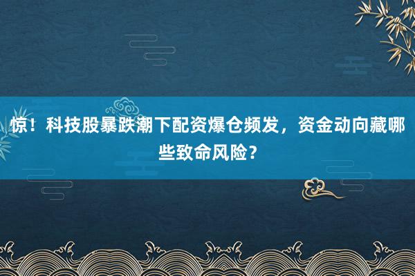惊！科技股暴跌潮下配资爆仓频发，资金动向藏哪些致命风险？