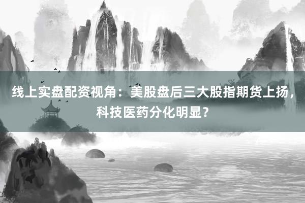 线上实盘配资视角：美股盘后三大股指期货上扬，科技医药分化明显？