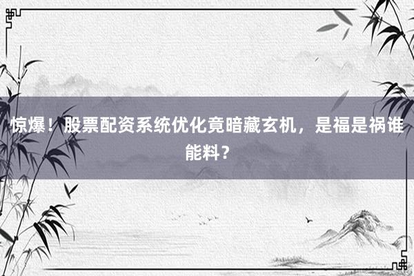 惊爆！股票配资系统优化竟暗藏玄机，是福是祸谁能料？